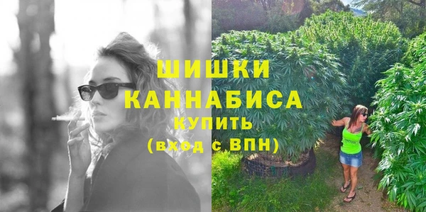 СК Каменка